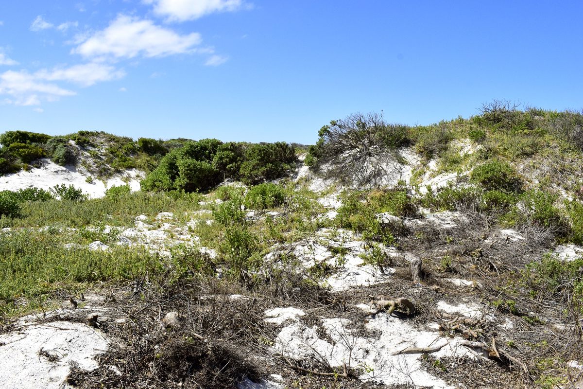 A view of a vacant residential plot featuring natural coastal dune vegetation and sandy terrain under a clear blue sky.