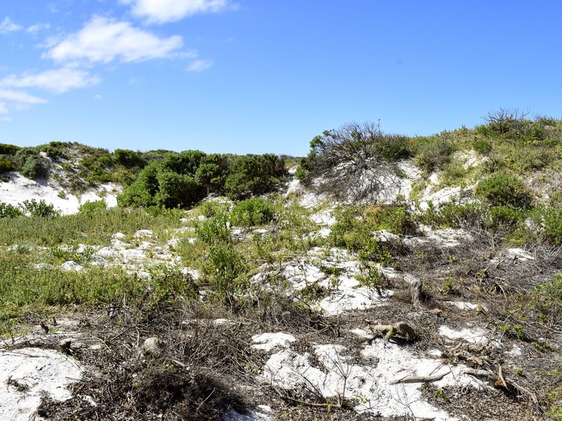 A view of a vacant residential plot featuring natural coastal dune vegetation and sandy terrain under a clear blue sky.