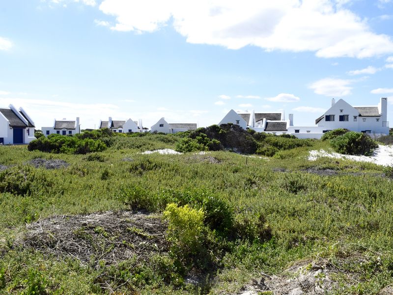 A scenic view of coastal vegetation and sand dunes with residential properties in the background.