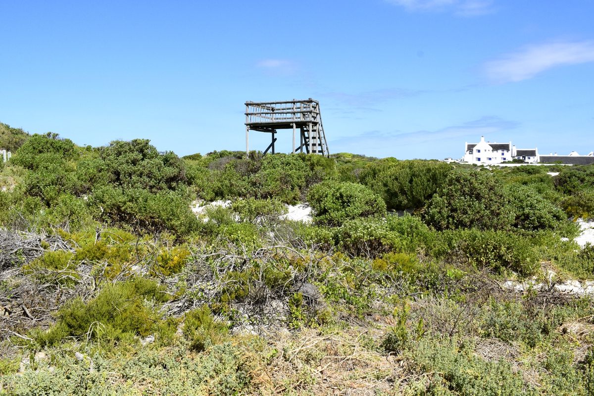 A vacant residential plot featuring natural coastal vegetation, sandy ground, and a weathered wooden observation deck structure.