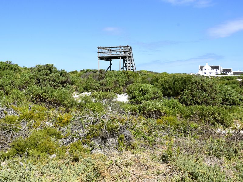 A vacant residential plot featuring natural coastal vegetation, sandy ground, and a weathered wooden observation deck structure.