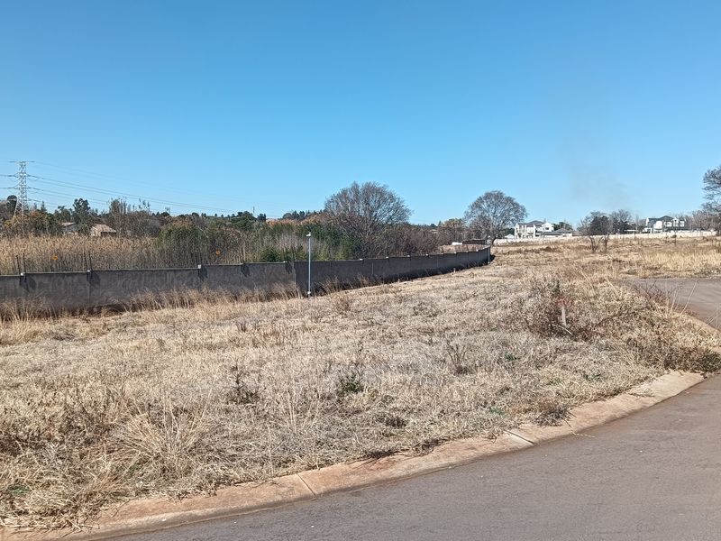 A vacant residential plot featuring a perimeter wall, adjacent paved road, and natural dry vegetation, offering a clear view of the surrounding neighborhood.