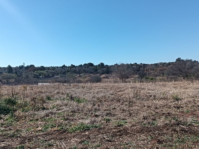 A view of an undeveloped residential plot featuring natural vegetation and open space.