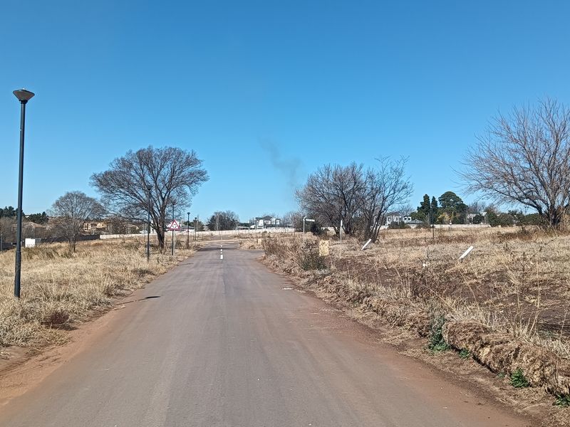 A view of a paved residential street flanked by undeveloped land with dry grass and mature trees under a clear blue sky.