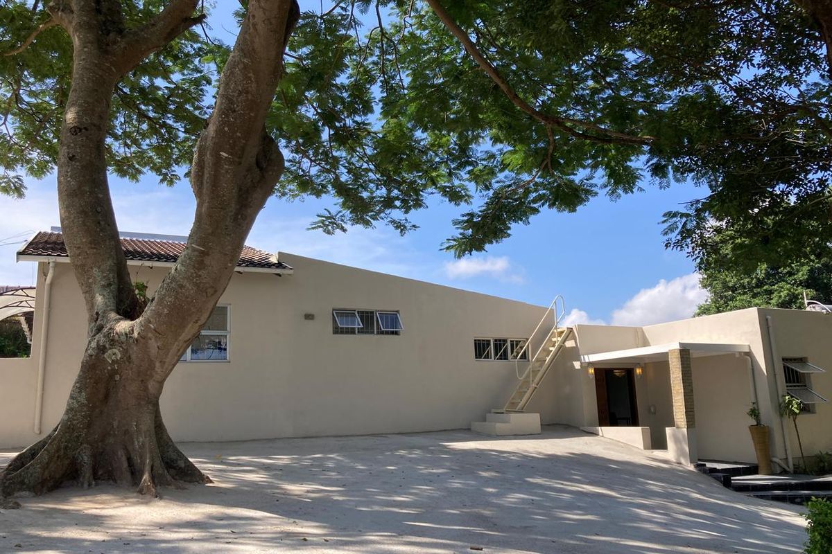 Rear exterior view of the property featuring a concrete driveway, external staircase, and mature tree providing shade to the building facade.