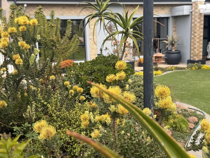A well-maintained garden featuring native plants and shrubs, set against the brick exterior facade of the house with large sliding glass doors.