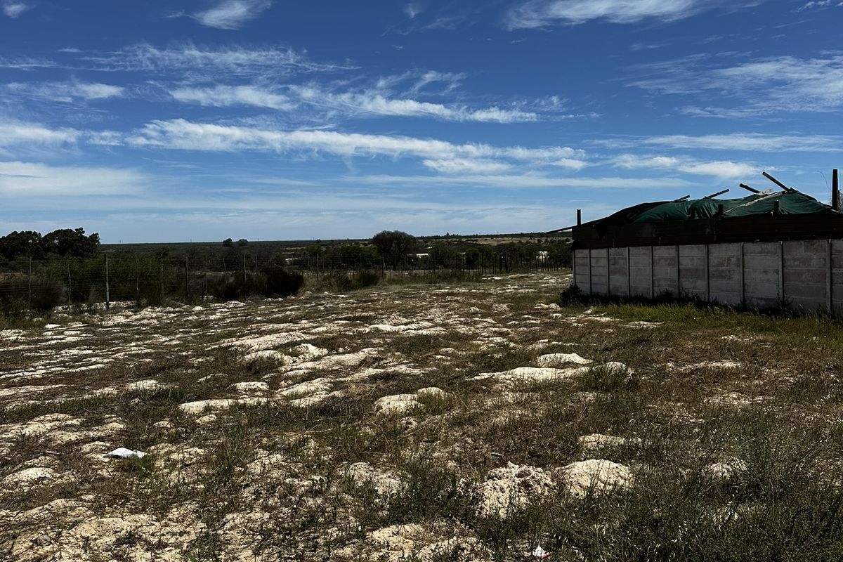 A vacant residential plot featuring uneven terrain, natural vegetation, and a precast concrete boundary wall along the perimeter.