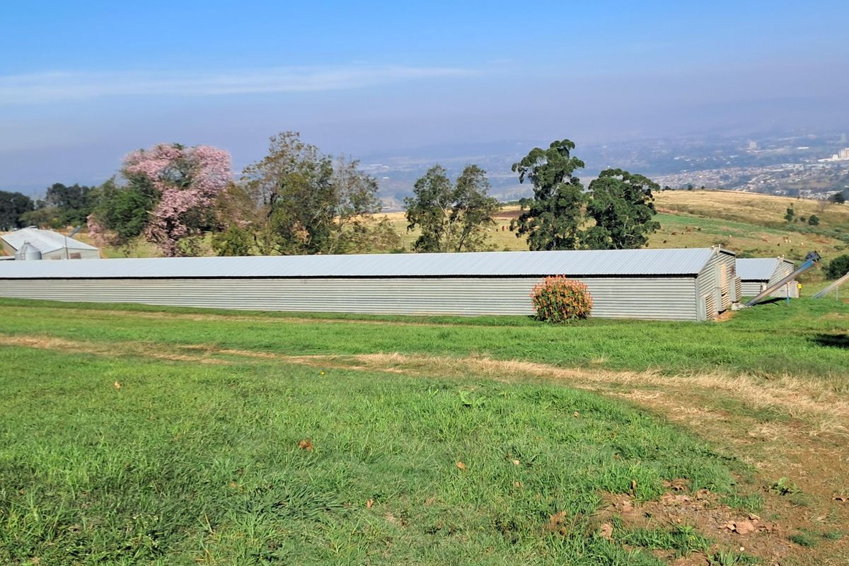 A large corrugated metal agricultural shed situated on a grassy small holding with expansive landscape views.
