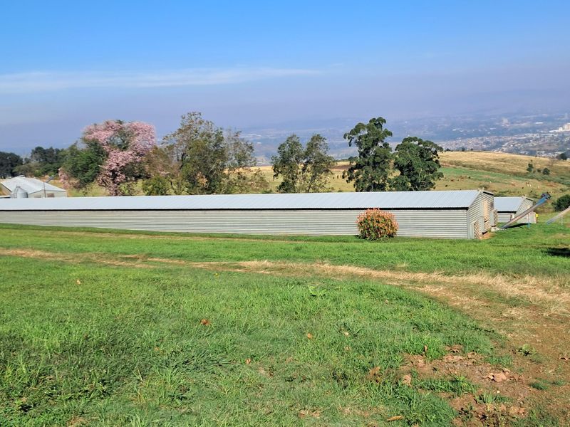 A large corrugated metal agricultural shed situated on a grassy small holding with expansive landscape views.