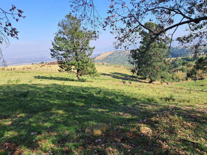 A scenic view overlooking the expansive small holding landscape with rolling hills, mature trees, and perimeter wire fencing.