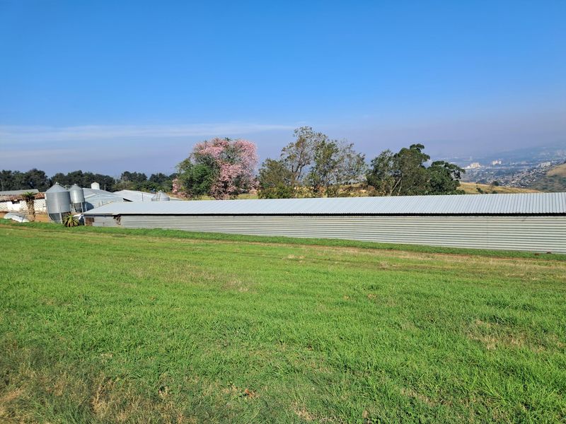 A view of the property's agricultural infrastructure, featuring a long corrugated metal shed and grain silos set against open grazing land.