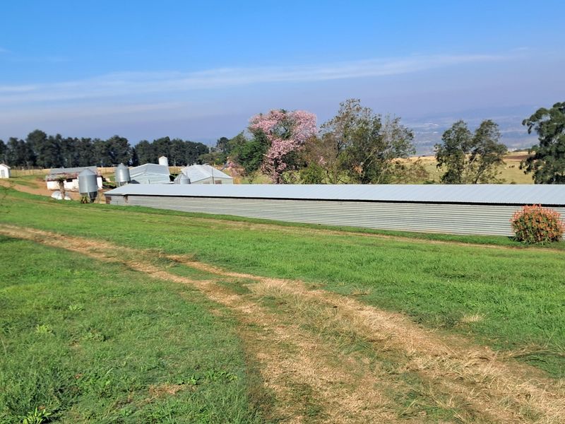 A wide view of the small holding featuring a long corrugated metal agricultural shed, grain silos, and surrounding pasture land.