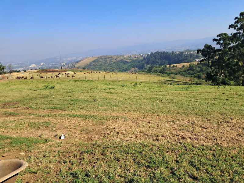 Expansive rural landscape view overlooking rolling hills and grazing pasture, featuring perimeter wire fencing on a small holding property.