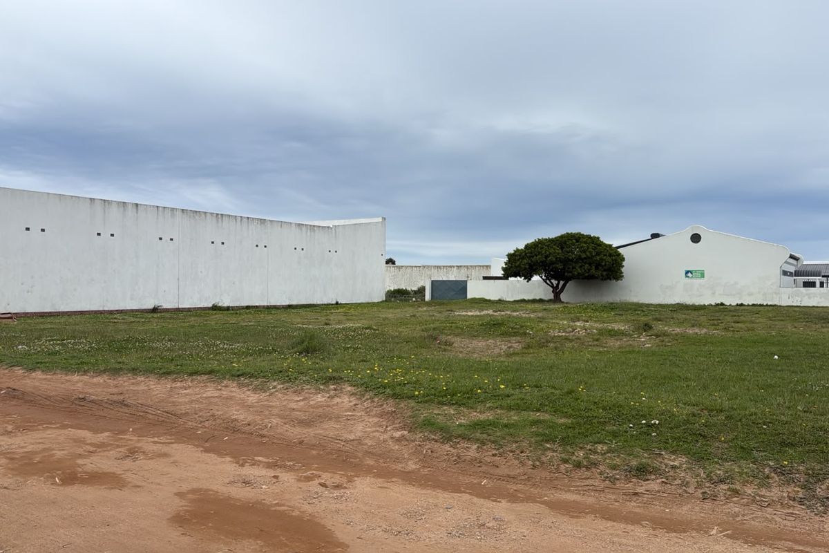 A vacant residential plot featuring a large boundary wall and unpaved access, offering a clear space for potential development.