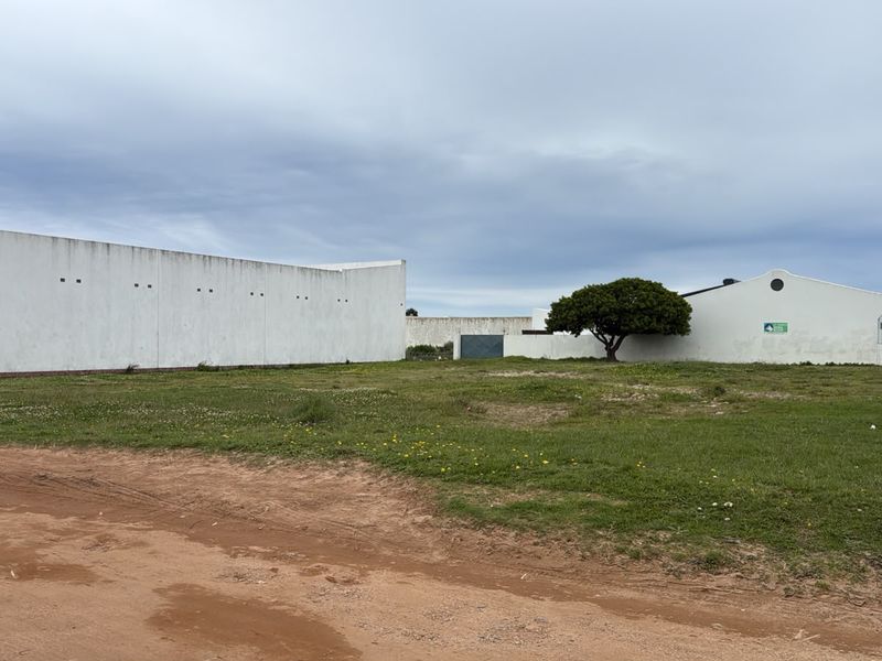 A vacant residential plot featuring a large boundary wall and unpaved access, offering a clear space for potential development.