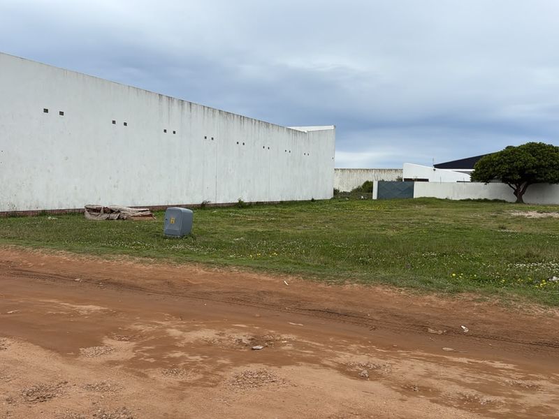 A vacant residential plot featuring a long boundary wall and an electrical utility box, accessible via an unpaved road.