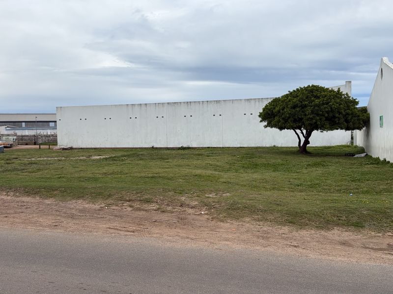 A vacant residential plot featuring a grass lawn and a perimeter boundary wall.