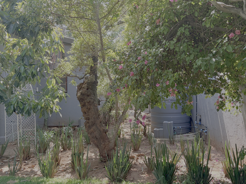 A lush, well-established garden area featuring mature trees, ornamental shrubs, and a functional water storage tank with integrated plumbing.