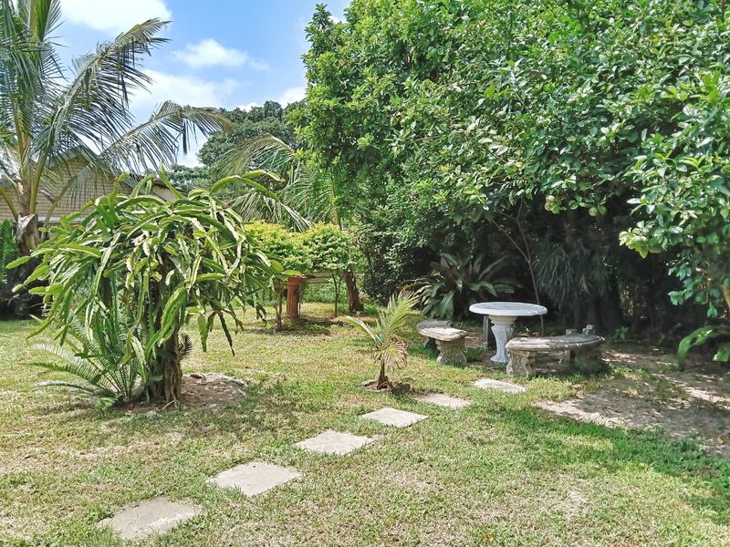 A lush, established garden featuring mature trees, greenery, and a stone-paved pathway leading through the outdoor space.