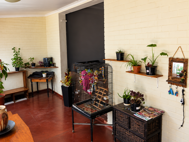 A sunlit living area featuring painted brick walls and terracotta tile flooring, offering a versatile space with built-in shelving.