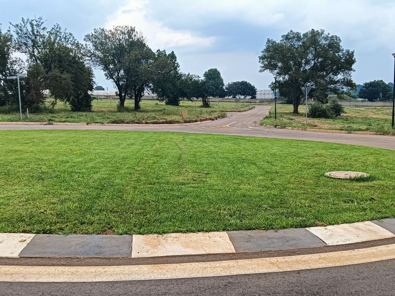 A view of a paved roundabout and surrounding residential land, featuring established trees and street infrastructure.
