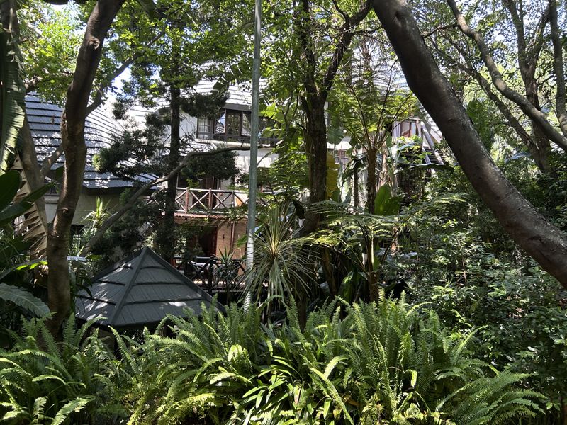 A view of the rear elevation of the property, featuring a wooden balcony, decking, and a lush, mature garden with a gazebo.