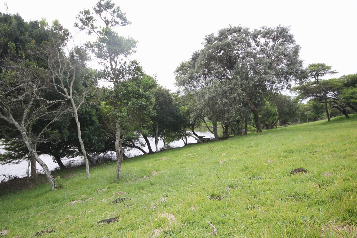 A scenic view of a sloped residential plot featuring mature trees and direct access to a water body.