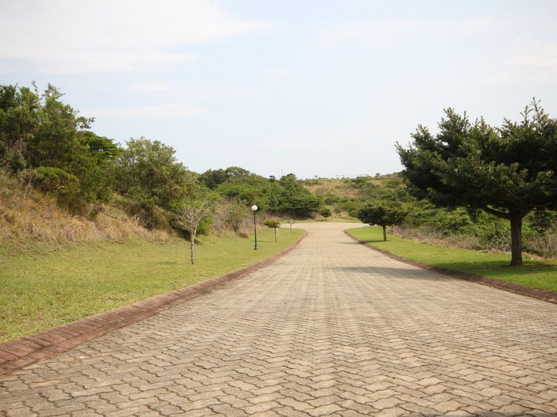 A well-maintained paved driveway leading through a landscaped residential property, featuring established trees and manicured grass verges.