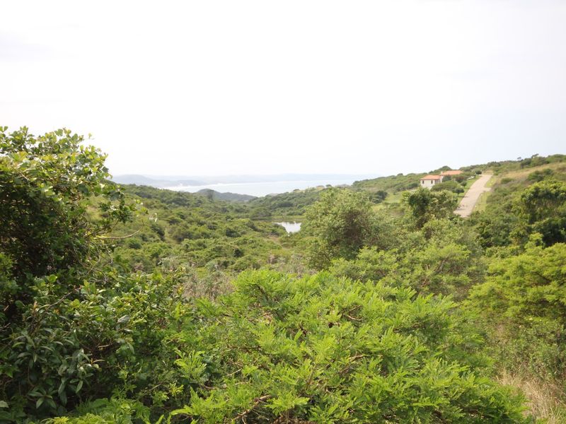A scenic elevated view overlooking a lush green valley, natural vegetation, and distant coastal landscape.
