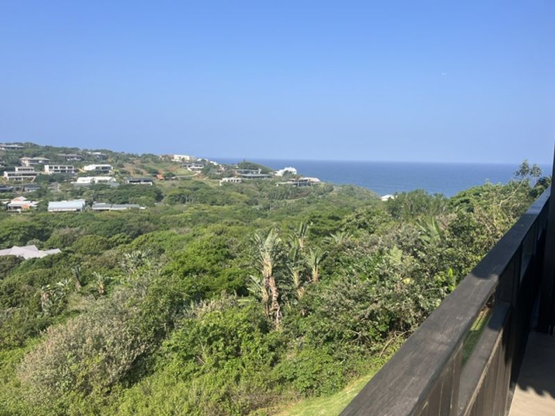 Elevated coastal view overlooking lush green vegetation and the ocean from a balcony.