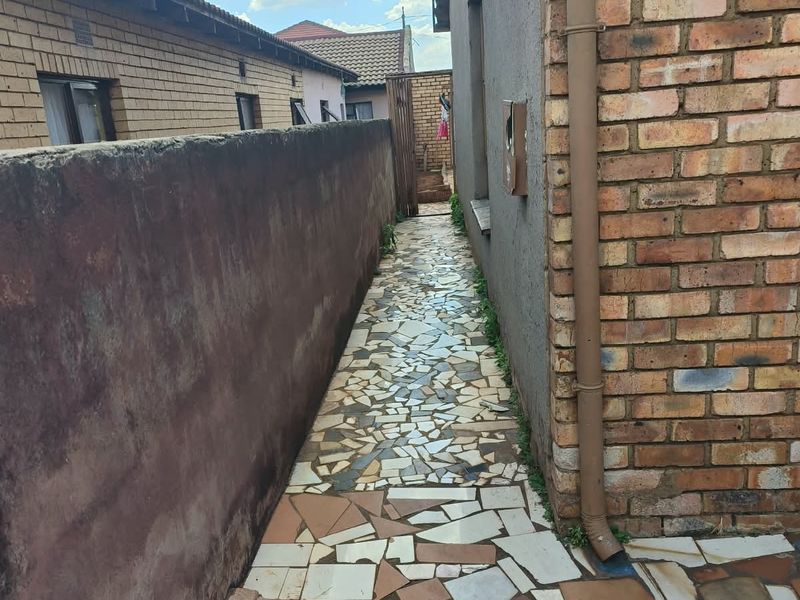 A narrow side passage featuring crazy paving, a facebrick wall, and a boundary wall, requiring maintenance to address weeds and surface staining.