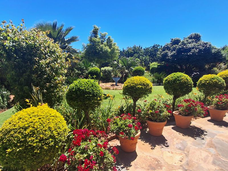 A well-maintained garden featuring a stone-paved patio area, manicured topiary shrubs, and a lush green lawn under a clear blue sky.