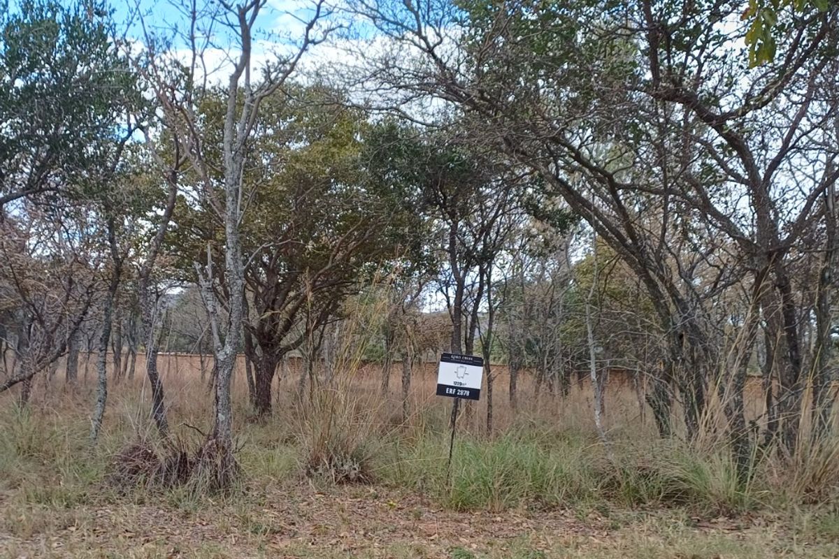A view of a vacant residential plot featuring mature trees and a boundary wall, suitable for development.