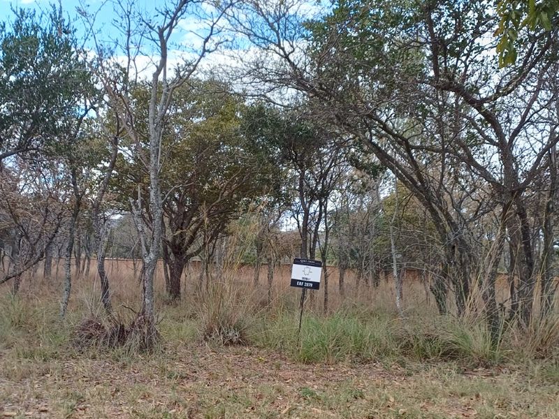 A view of a vacant residential plot featuring mature trees and a boundary wall, suitable for development.