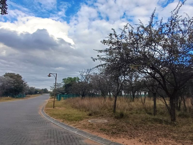 A view of the paved street and curb infrastructure adjacent to the vacant residential land plot.