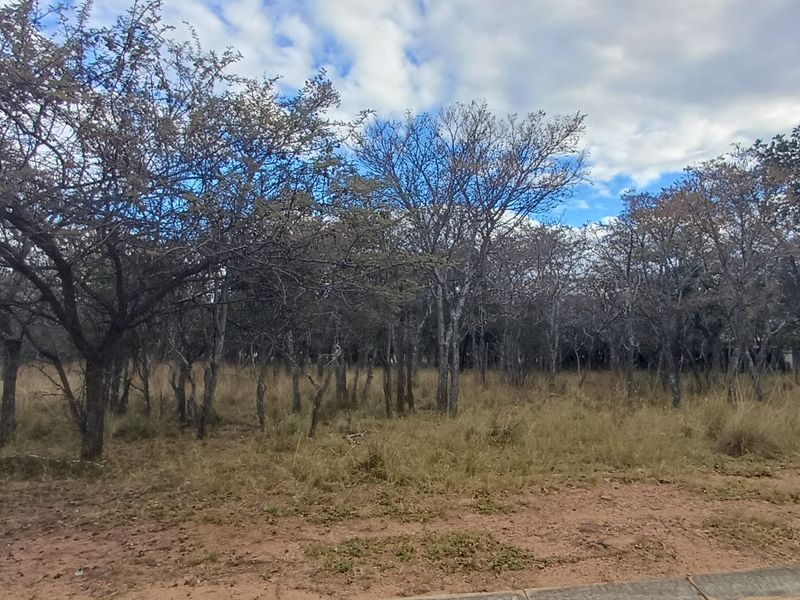 A view of a vacant residential plot featuring established native trees and natural ground cover.