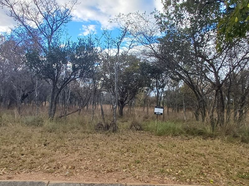 A view of a vacant residential plot featuring mature trees and natural vegetation, suitable for development.