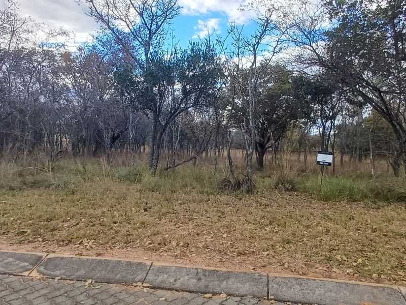 A vacant residential plot featuring natural vegetation and trees, bordered by a paved curb.