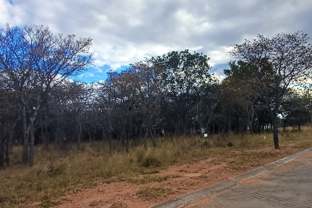 A vacant residential plot featuring natural vegetation and mature trees, situated adjacent to a paved road with established kerbing.