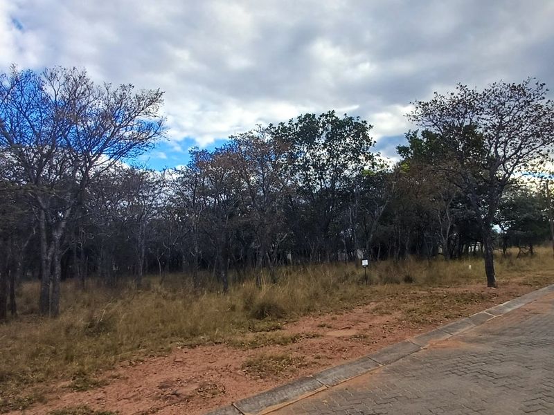 A vacant residential plot featuring natural vegetation and mature trees, situated adjacent to a paved road with established kerbing.