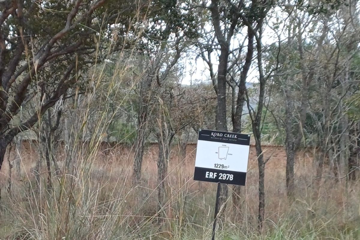 A vacant residential plot in Koro Creek, measuring 1229 square meters, featuring natural vegetation and a boundary wall.