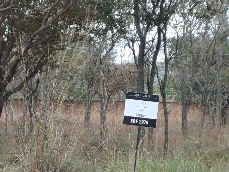 A vacant residential plot in Koro Creek, measuring 1229 square meters, featuring natural vegetation and a boundary wall.