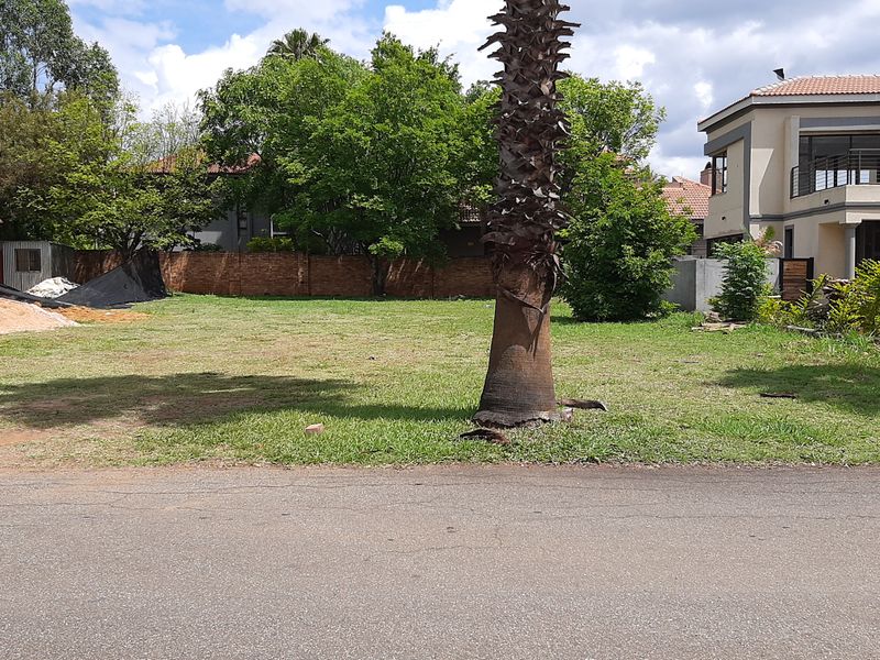 A vacant residential plot featuring a level grassed area, a mature palm tree, and established brick boundary walls in a suburban setting.