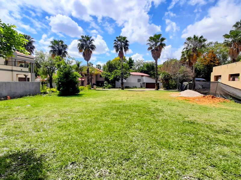 A spacious residential plot featuring a well-maintained lawn, mature palm trees, and established boundary walls, offering a clear area for potential development.