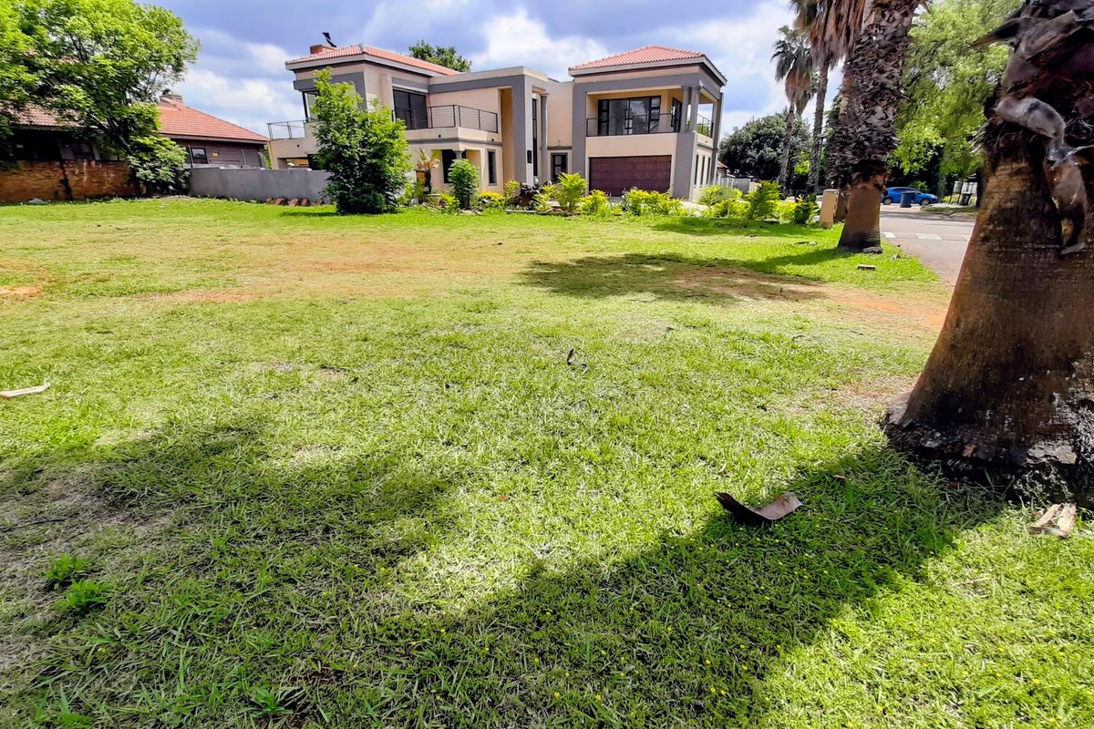 A spacious residential garden plot featuring established lawn and mature palm trees, providing a clear view of the adjacent modern property.