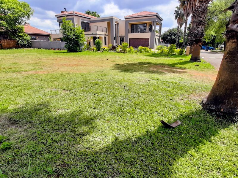 A spacious residential garden plot featuring established lawn and mature palm trees, providing a clear view of the adjacent modern property.