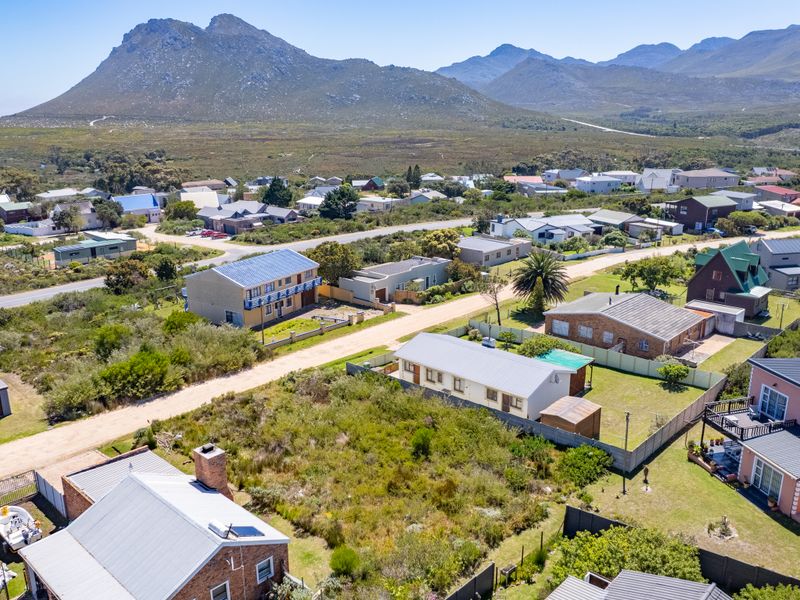 An aerial view of a residential neighborhood featuring established homes, fenced plots, and a scenic mountain backdrop.