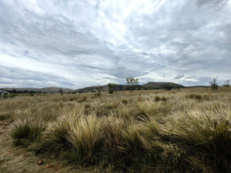 A wide-angle view of the vacant residential land featuring natural grassland and distant hills under a cloudy sky.