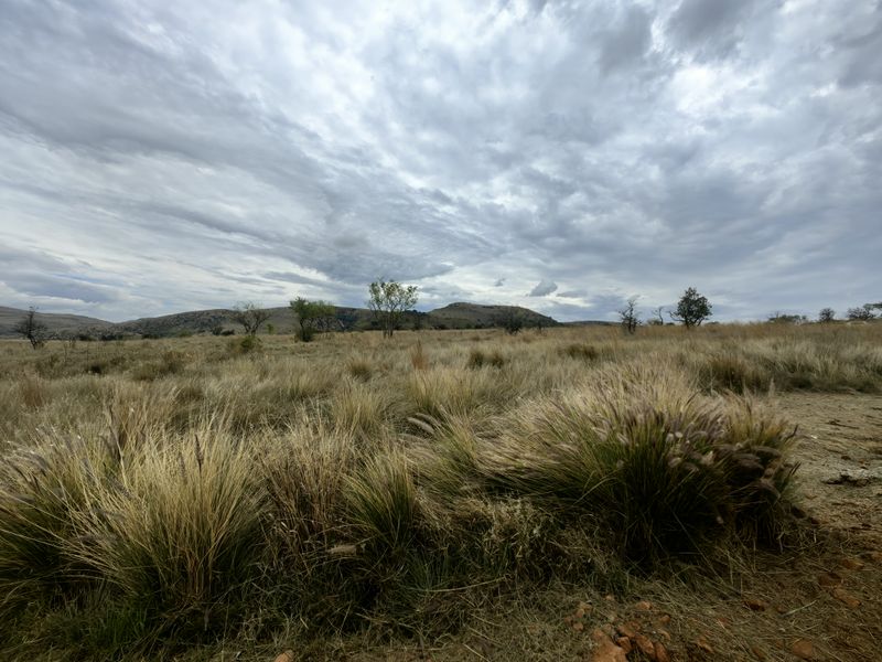A wide-angle view of the vacant residential land featuring natural grassland and distant hills under a cloudy sky.