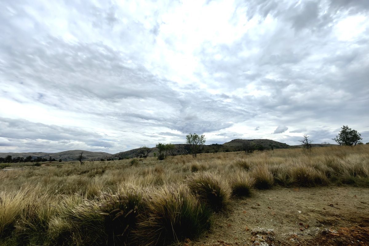A wide-angle view of open, undeveloped residential land featuring natural grasses, scattered trees, and distant rolling hills under a cloudy sky.